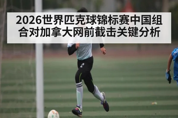 2026世界匹克球锦标赛中国组合对加拿大网前截击关键分析