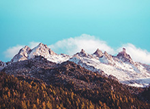 澳洲幸运10官网-史上最豪华自由球员市场？20大巨星5天后可谈转会