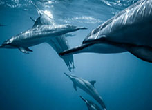 行云流水！雷琼·塔克传跑 底线接球蓄力起飞双手炸筐